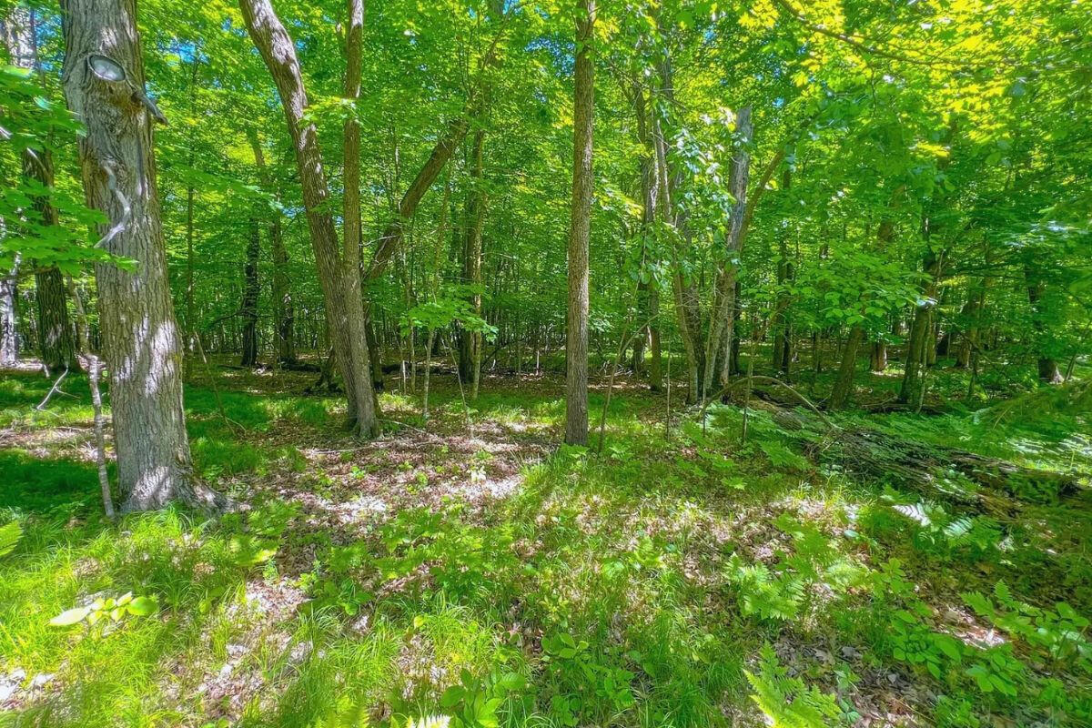 Near Highway - Harbor Dr, Garrison, MN 56450