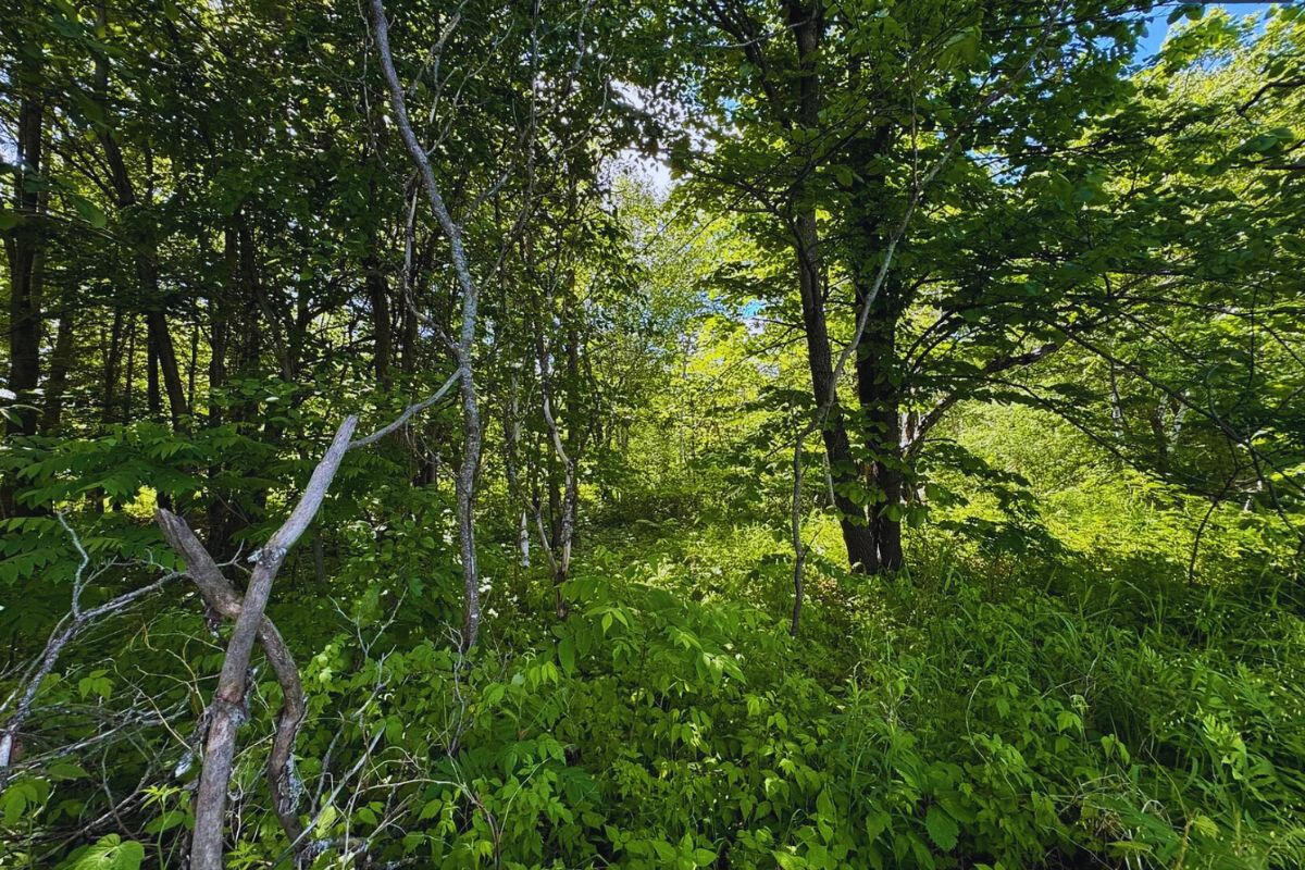 Near Highway - Harbor Dr, Garrison, MN 56450